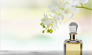 9 Tips for Smelling Good All Day Long