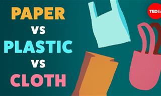 Paper, Plastic or Cloth - What Kind of Bag Should We Use?