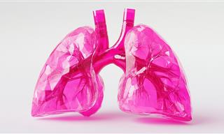 12 Things that Harm Your Lungs