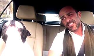 Watch Owner and Dog Sing Diamonds