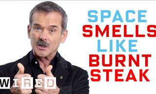 Astronaut Chris Hadfield: Debunking Space Myths