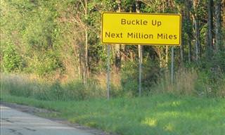 15 Odd Road Signs