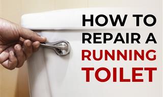 Repair a Running Toilet in No Time With These 4 Tips