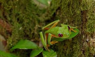 Discover the Beauty in Costa Rica