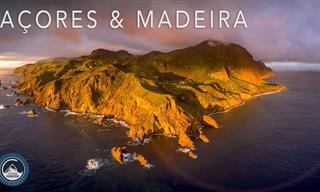 A Visit to the Azores and Madeira islands