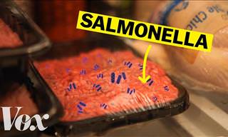 Are You Aware of The Dangers of Salmonella Poisoning?