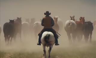 Horse Wrangling in the Mountains of Montana