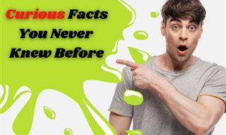 The Most Interesting and Weird Facts You Never Knew