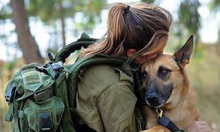 20 Photos Showing the Courage & Devotion of Service Dogs