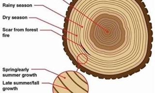 14 Handy Charts and Tables to Enrich Your Knowledge