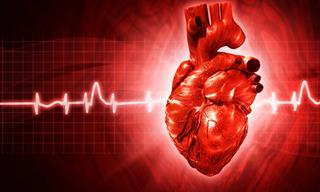 What is Heart Arrhythmia and How to Live With It