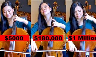 Does a $1 Million Cello Sound Better Than a Standard One?