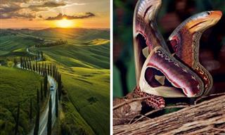 19 Images Showcasing the World’s Endless Wonders