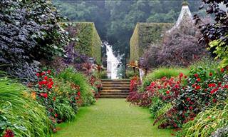 England's Most Beautiful Gardens