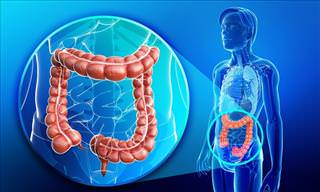 Gastric Obstruction – Causes, Symptoms & Treatments