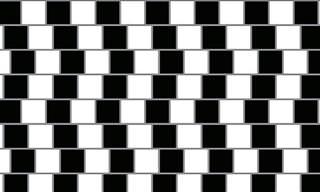 20 Mind-Bending Optical Illusions To Test Your Perception