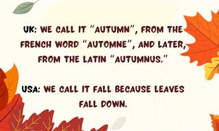 17 Fall Jokes That Will Leaf You Laughing All Season!