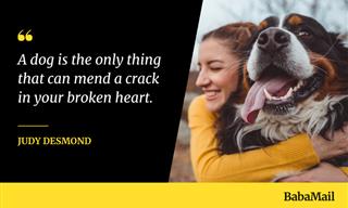 You’ll Love Your Pup Even More After Reading These Quotes