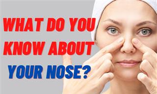 Do You Know Your Nose?