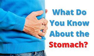 What Do You Know About the Stomach?