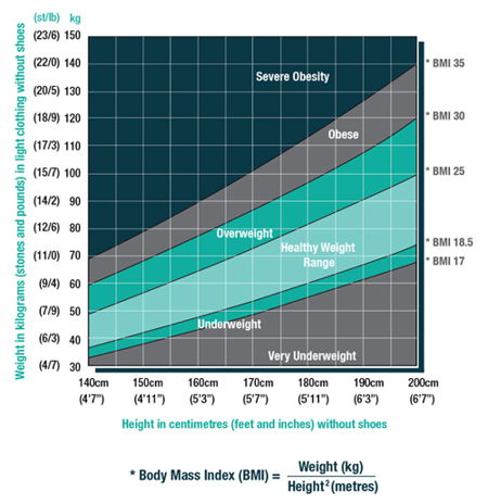 5 Steps Australians Do To Stop Overeating & Fight Obesity - MeVolv