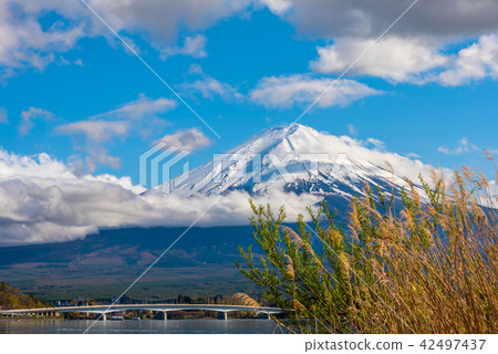 Mount Fuji and Lake Kawaguchi with cloudy sky . 42497437