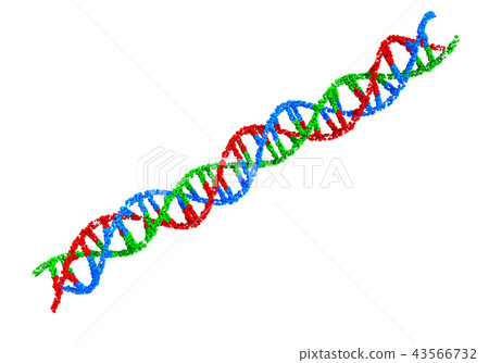 Triple helix DNA 43566732