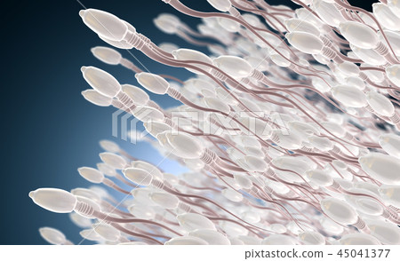 Sperm cells or spermatozoon moving to the left 45041377