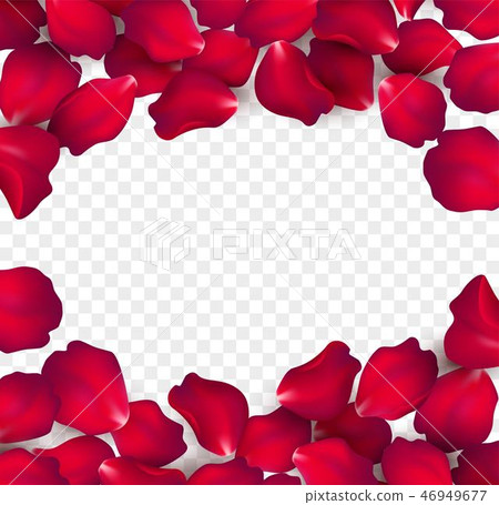 Falling Red Rose Petals Isolated On White Stock Illustration