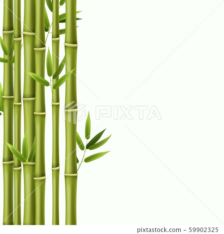 Bamboo background. Green bamboo rainforest... - Stock Illustration  [59902325] - PIXTA