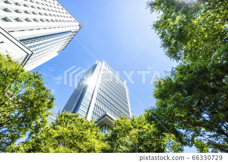 Landscape of the office town looking up at a skyscraper 66330729