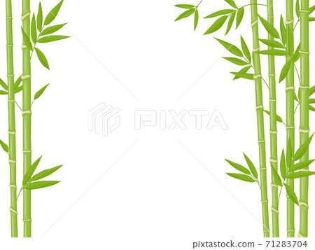 Bamboo background. Asian fresh green bamboo... - Stock Illustration  [71283704] - PIXTA