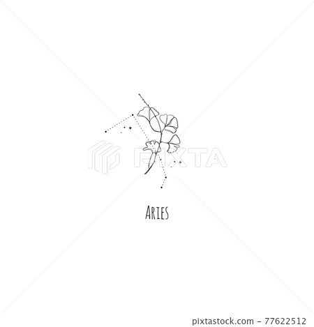 Hand drawing Aries constellation symbol with floral branch and stars. Modern minimalist mystical astrology aesthetic illustration with zodiac signs 77622512