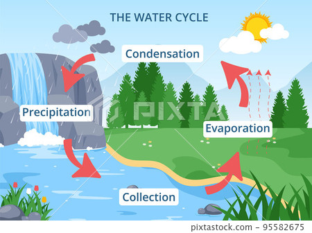 Water Cycle of Evaporation, Condensation, Precipitation to Collection in Earth natural environment on Flat Cartoon Hand Drawn Template Illustration 95582675