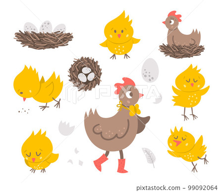 Vector set with cute hen, little chicks, eggs, nest. Spring or Easter funny illustration isolated on white background for kids. Farm bird icons pack 99092064