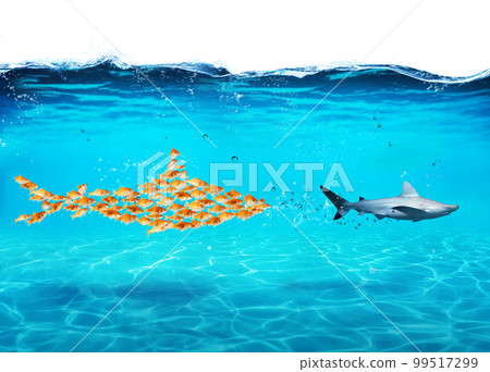 Big shark made of goldfishes attack a real shark. Concept of unity is strength, teamwork and partnership 99517299