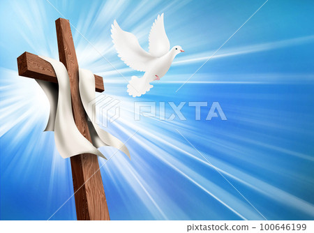 Concept crucifixion and resurrection. Christian cross illustration with dove. Life after death 100646199