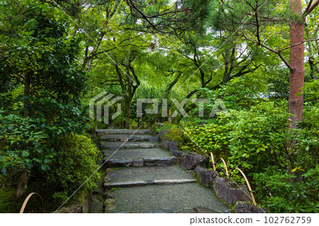 京都嵯峨嵐山之夏世界遺產天龍寺曹源地庭園 102762759