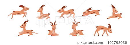 African Wild Gazelle with Long Horns and Hoofs Vector Set 102798086