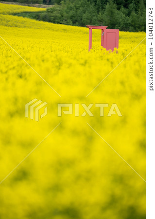 Anpingo Rape field 104012743