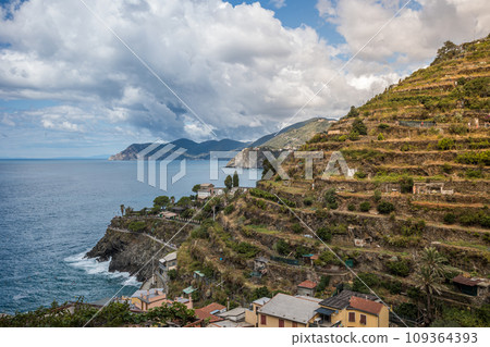 Stunning view of Manarola village in Cinque Terre National Park, beautiful cityscape with colorful houses and green terraces on cliffs over a sea, Liguria region of Italy. 109364393