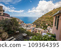 Stunning view of Manarola village in Cinque Terre National Park, beautiful cityscape with colorful houses and green terraces on cliffs over a sea, Liguria region of Italy. 109364395