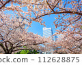 [Urban landscape of Kanagawa] Cherry blossoms around Minato Mirai 112628875