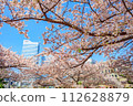 [Urban landscape of Kanagawa] Cherry blossoms around Minato Mirai 112628879