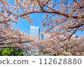 [Urban landscape of Kanagawa] Cherry blossoms around Minato Mirai 112628880