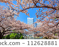 [Urban landscape of Kanagawa] Cherry blossoms around Minato Mirai 112628881