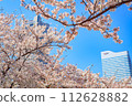 [Urban landscape of Kanagawa] Cherry blossoms around Minato Mirai 112628882