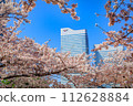 [Urban landscape of Kanagawa] Cherry blossoms around Minato Mirai 112628884