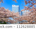 [Urban landscape of Kanagawa] Cherry blossoms around Minato Mirai 112628885