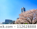 [Urban landscape of Kanagawa] Cherry blossoms around Minato Mirai 112628888